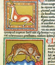 Two Conferences of Folk Belief & the Supernatural