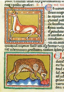 Bodleian Library, MS. Ashmole 1511, The Ashmole Bestiary, Folio 21r